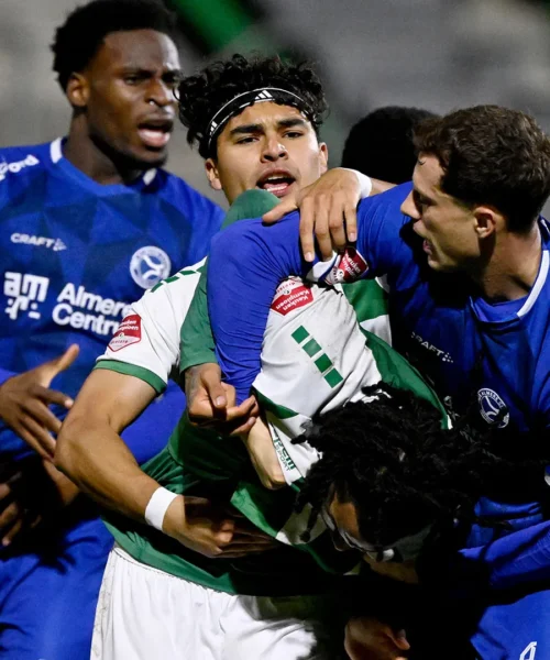 I calciatori perdono la testa e iniziano a lottare: le foto