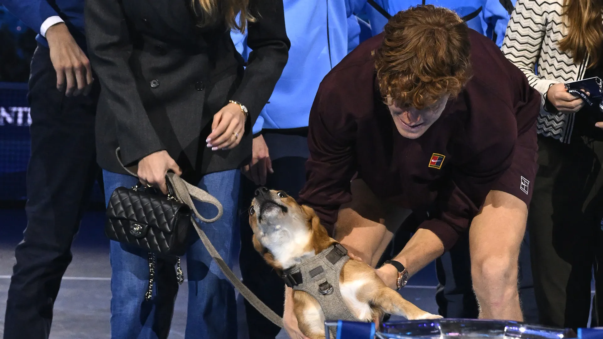 Sinner si è fermato a coccolare l'inquieto quadrupede, sotto lo sguardo attento di Laila