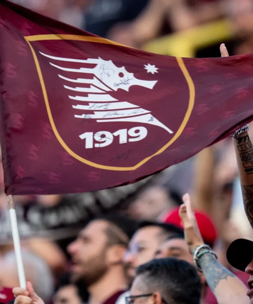Paura durante Salernitana-Crotone, ambulanza in campo