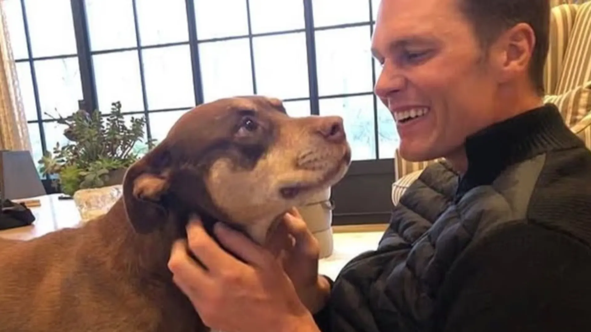 Il sette volte vincitore del Super Bowl ha rivelato che il suo attuale cucciolo, Junie, è un clone di Lua, il suo precedente cane morto due anni fa