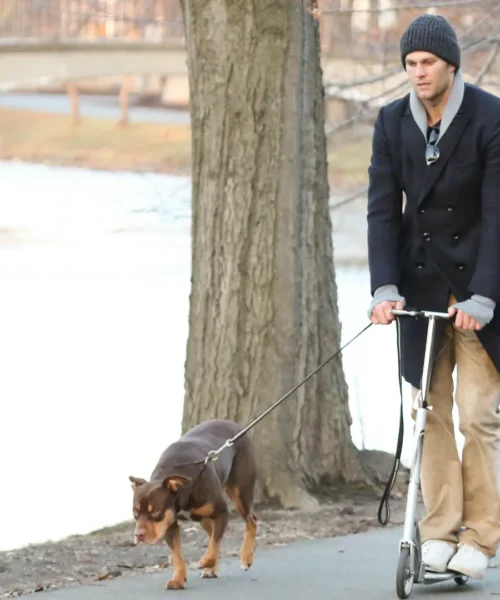 Tom Brady ha clonato il suo cane: le foto