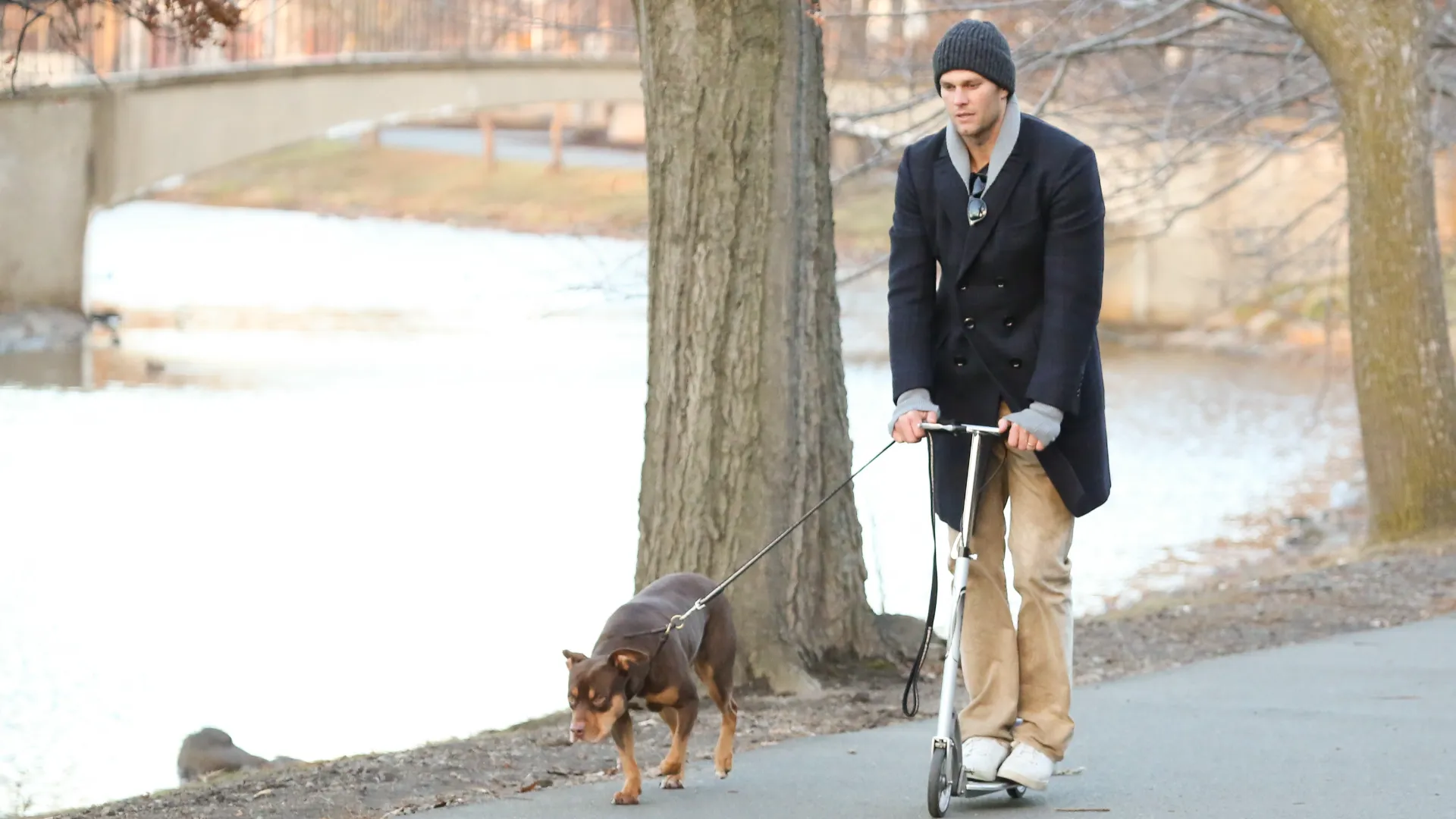 Tom Brady ha clonato il suo cane