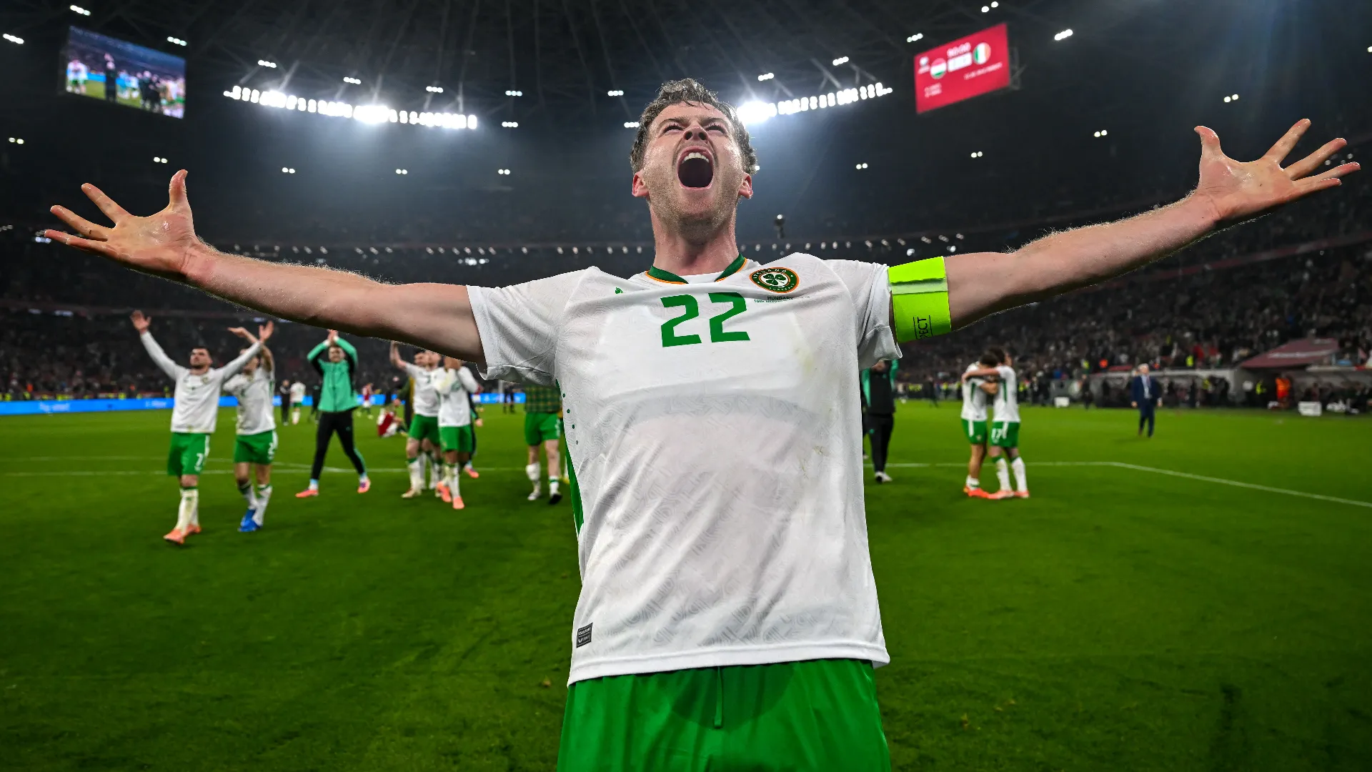 ... i magiari hanno perso in casa contro la Repubblica d'Irlanda