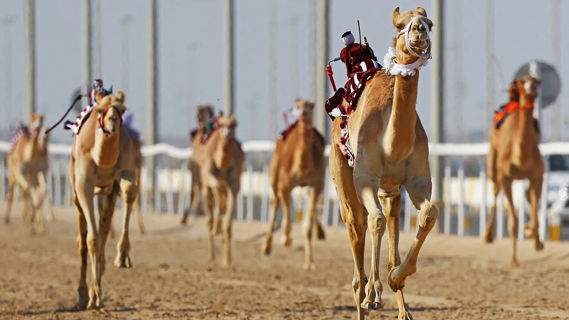 "Sarebbe qualcosa di divertente, qualcosa di significativo e qualcosa che mi entusiasma"