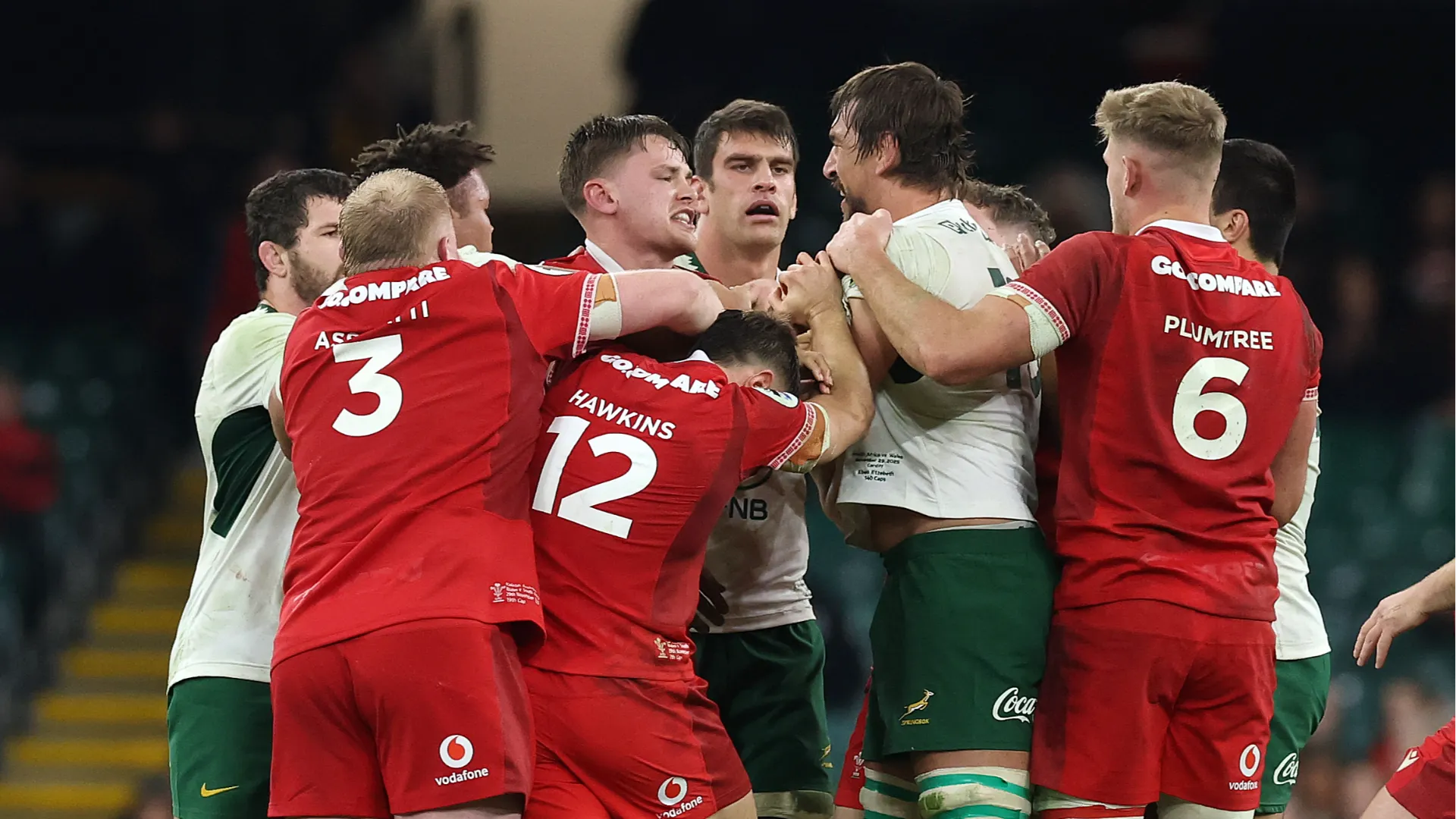 Il Sudafrica ha travolto il Galles 73-0 a Cardiff, infliggendo la peggior sconfitta casalinga della storia gallese