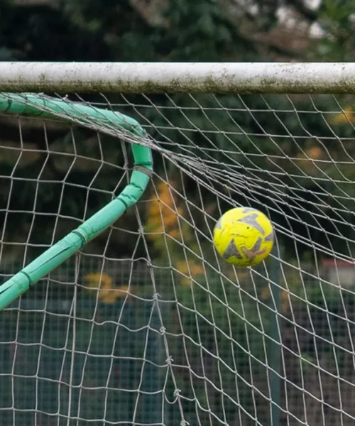 Chi andrà in serie A? I giornalisti si sbilanciano
