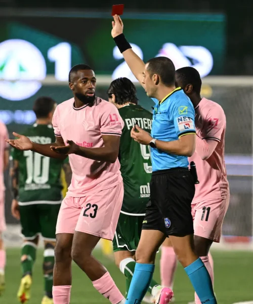 Serie B, dieci squalificati: due assenze per il Palermo e il Cesena