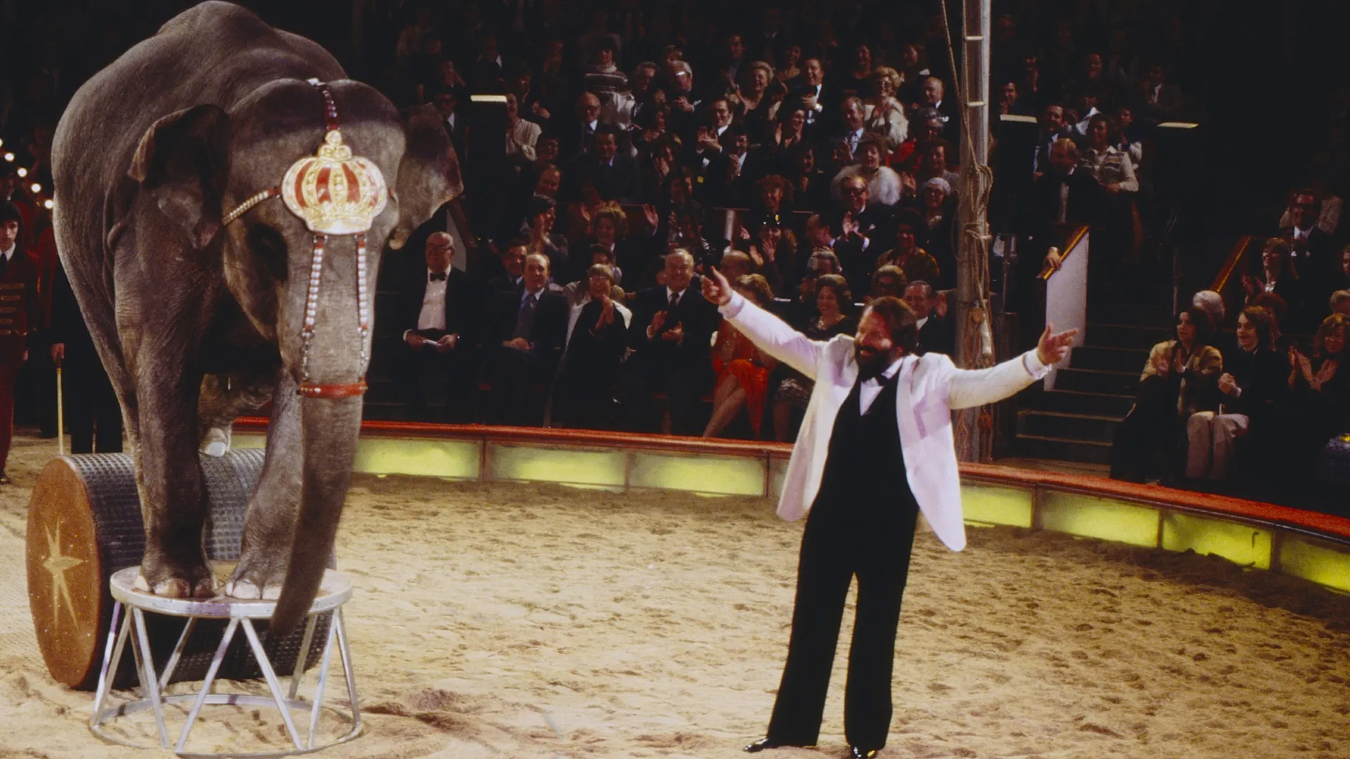 Bud Spencer e i tedeschi: un grande amore ricambiato