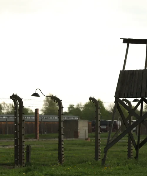 Giornata della Memoria: le iniziative dell’Area CSR della Lega Dilettanti con i giovani e le scuole