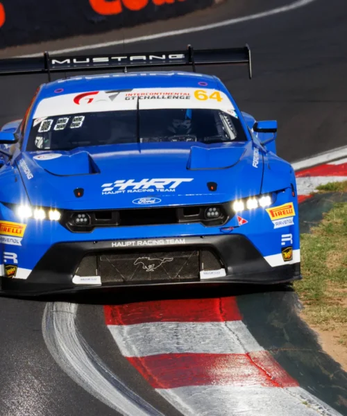 Auto contro canguro: spaventoso incidente nella gara con Valentino Rossi