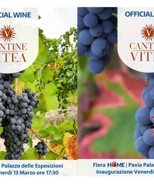 Home: le Cantine Vitea di Antonio Faravelli sono l’official wine