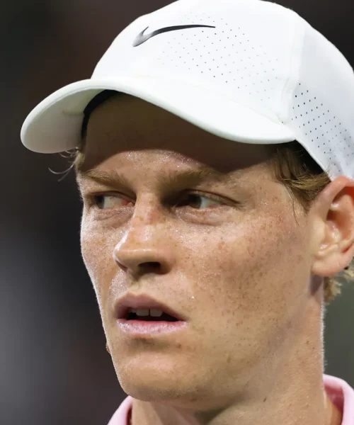 Uno spettatore fa arrabbiare Jannik Sinner