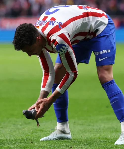 Partita sospesa in Spagna, un piccione blocca la gara: immagini