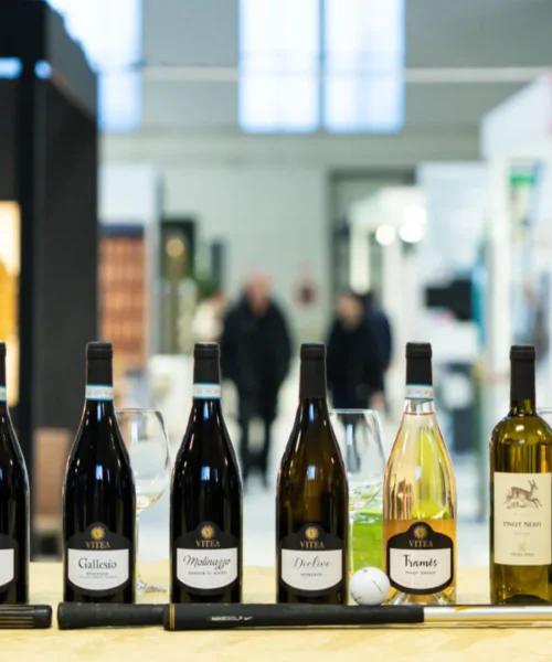 Swing Experience 2026 punta su Cantine Vitea