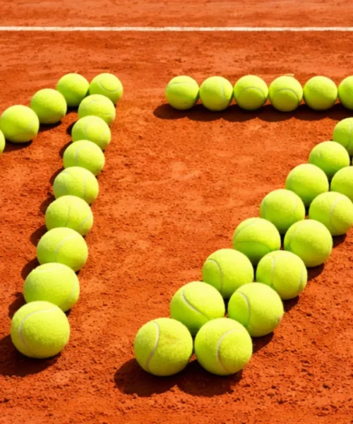 Carlos Alcaraz contro Jannik Sinner: a chi porterà fortuna il numero 17?