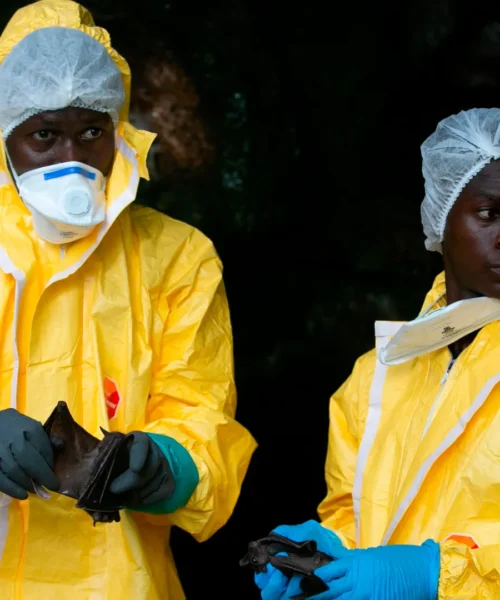 Ripescaggio Italia ai Mondiali: ci si mette anche l’Ebola a creare caos