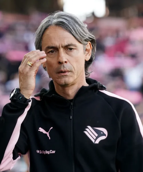 Serie B 2025-2026: Palermo-Catanzaro, le probabili formazioni