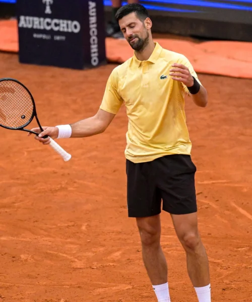 Novak Djokovic, l’amara ammissione divide gli appassionati