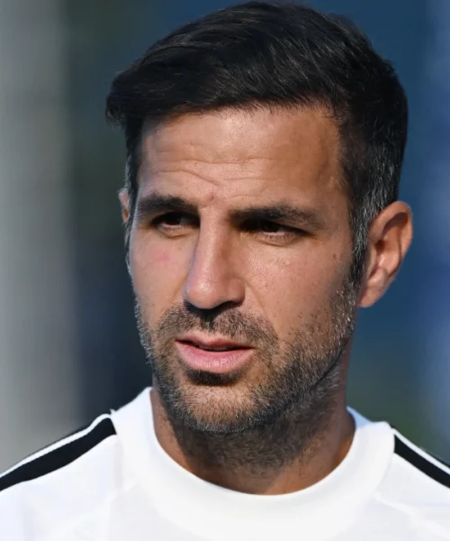Italia, Roberto Mancini: Cesc Fabregas va controcorrente
