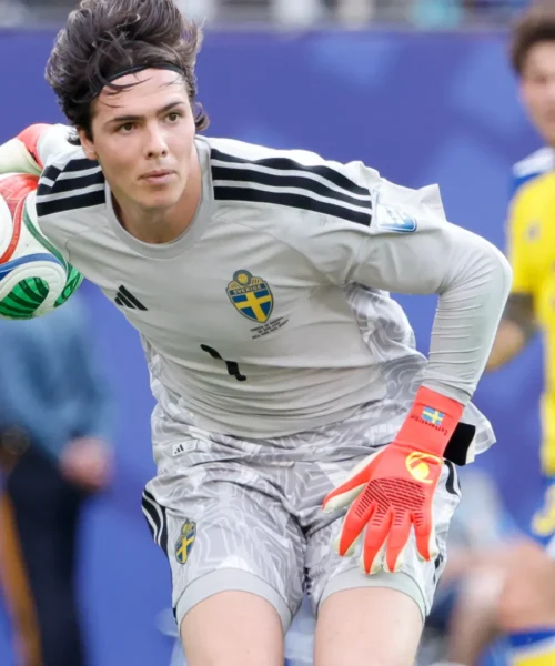 Mercato Monza, la dirigenza fa l’accento svedese per convincere il portiere