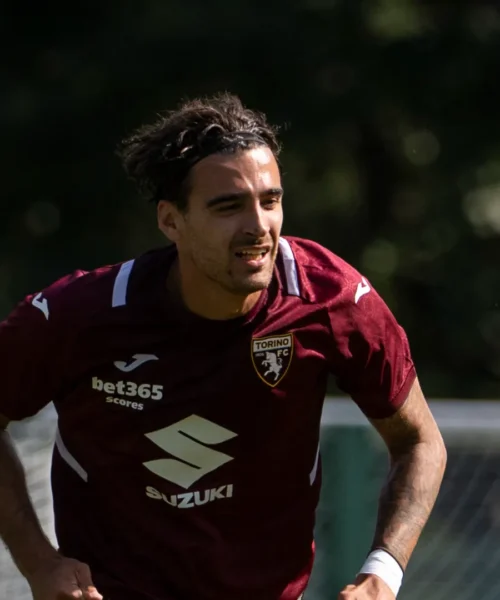 Amichevoli pre campionato: Avellino-Torino, le probabili formazioni