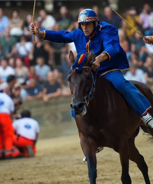 Palio di Siena storico: Nicchio e Tittia riaggiornano gli almanacchi dopo 232 anni