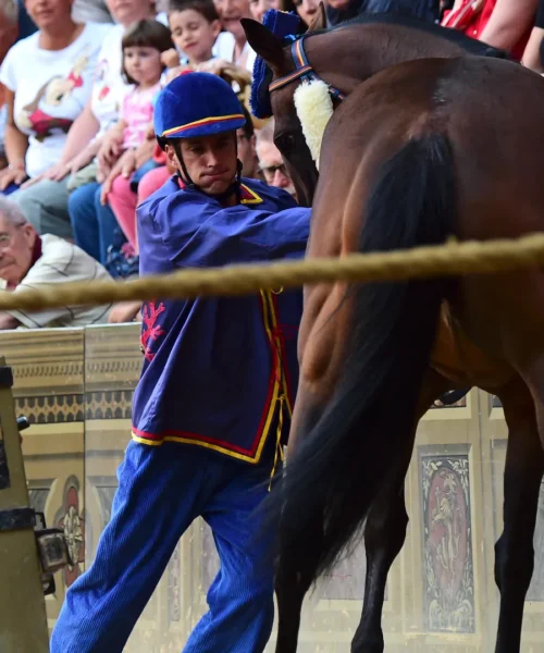 Caduta e apprensione per il fantino Tittia: che cosa è successo al Palio di Siena