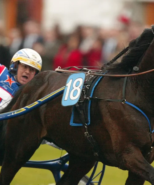 È morto Varenne, il cavallo della leggenda che emozionò l’Italia: addio a 31 anni