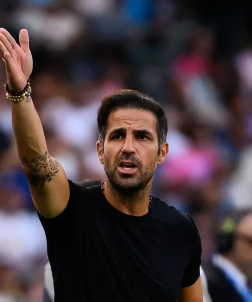 Fabregas demolisce Tornqvist in conferenza stampa