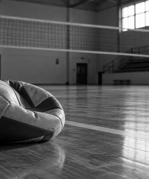 Gravissime accuse verso un allenatore di pallavolo: violenza sessuale e pedopornografia