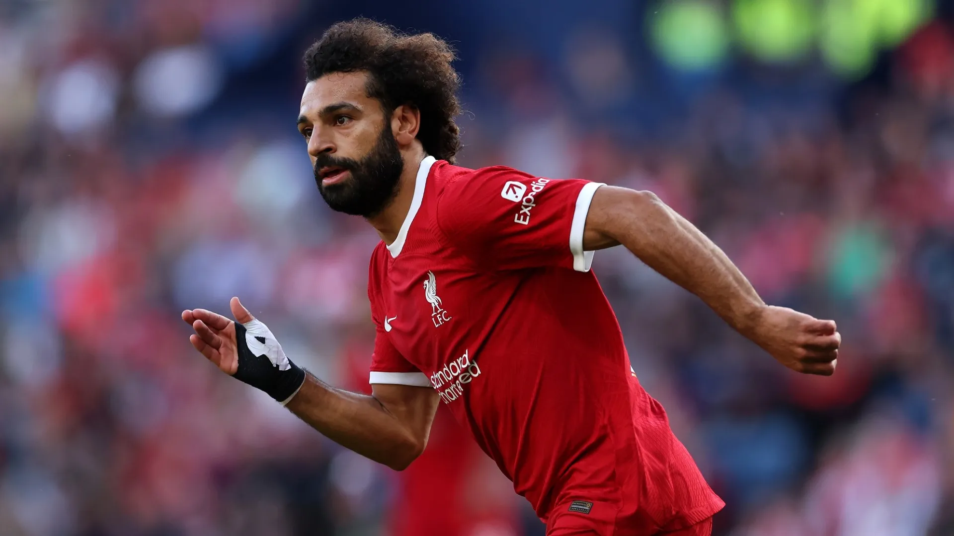 Salah 1218480Photogallery