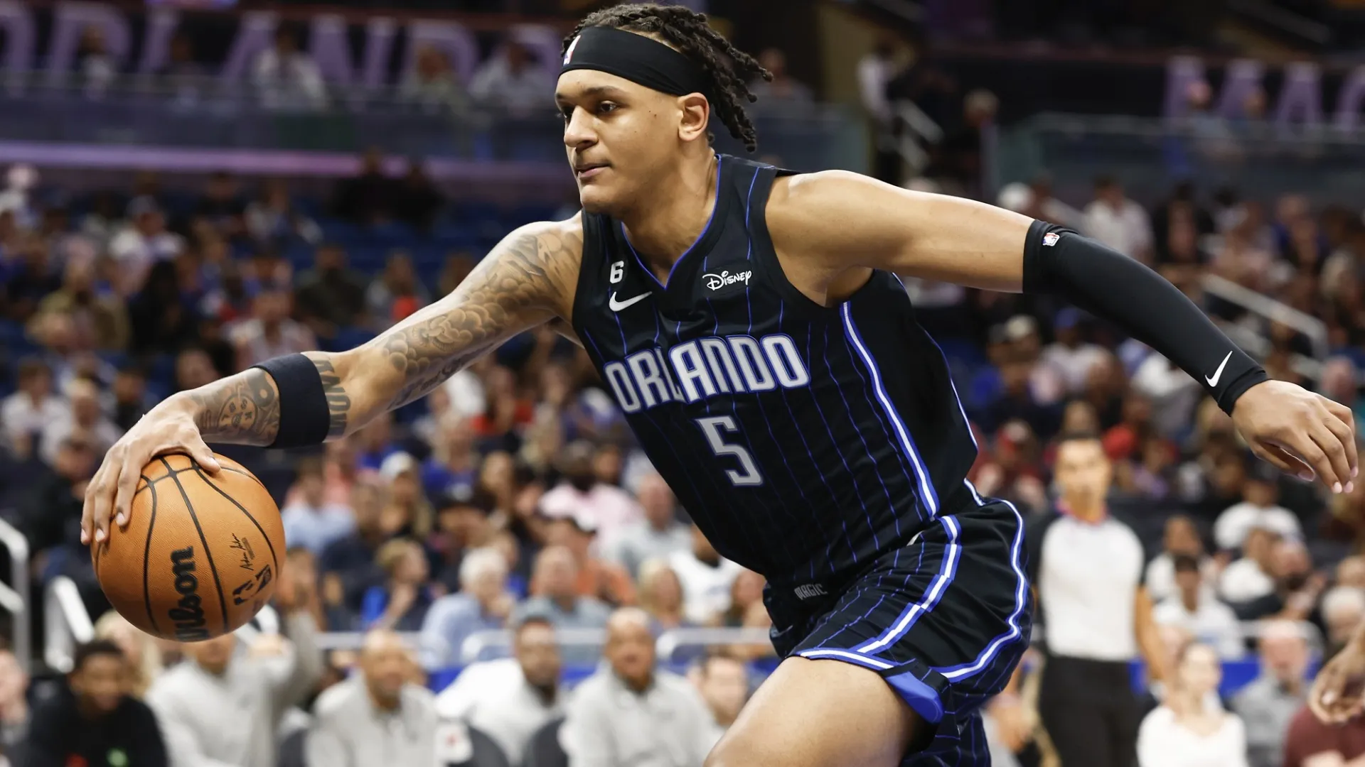 Banchero 1181597Photogallery