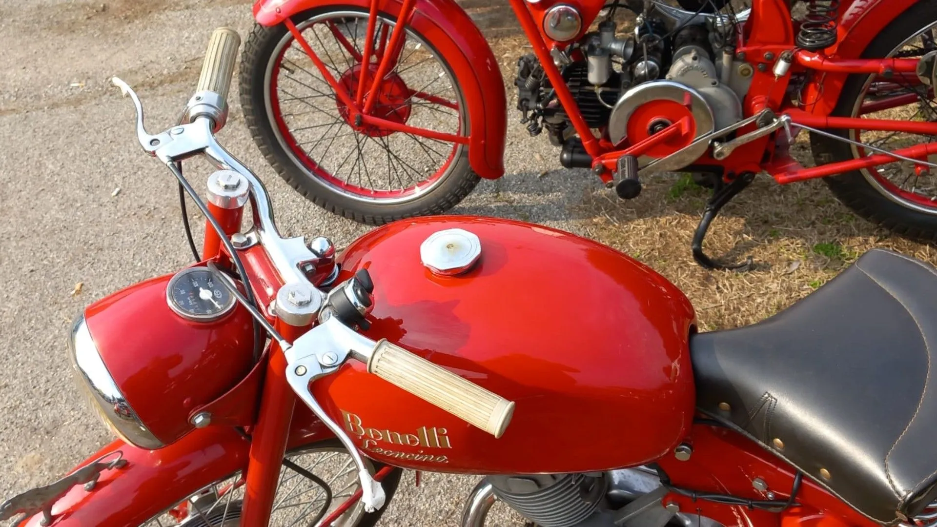 Benelli Leoncino 1258352Photogallery