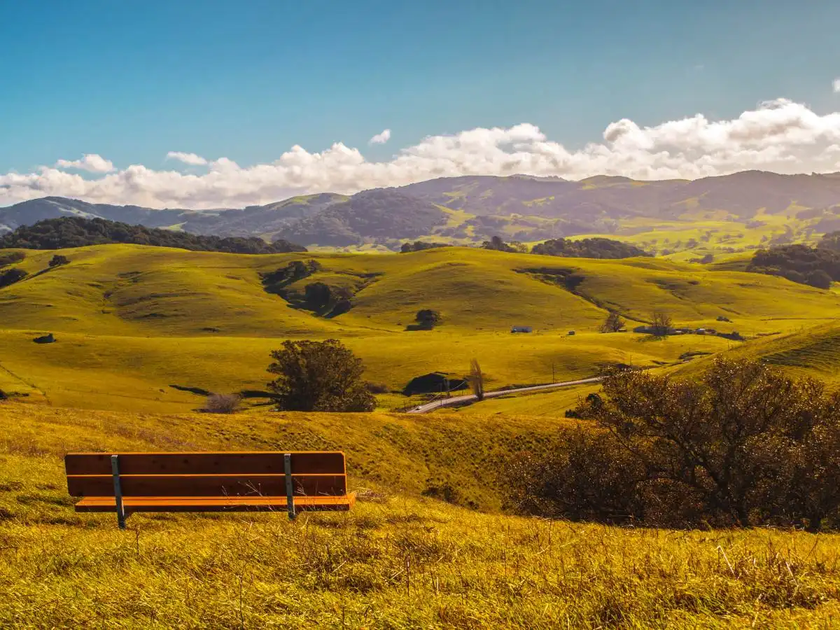 Ricordate quell’orizzonte verde che guardavamo ogni mattina sul computer? Esiste davvero: è la Contea di Sonoma