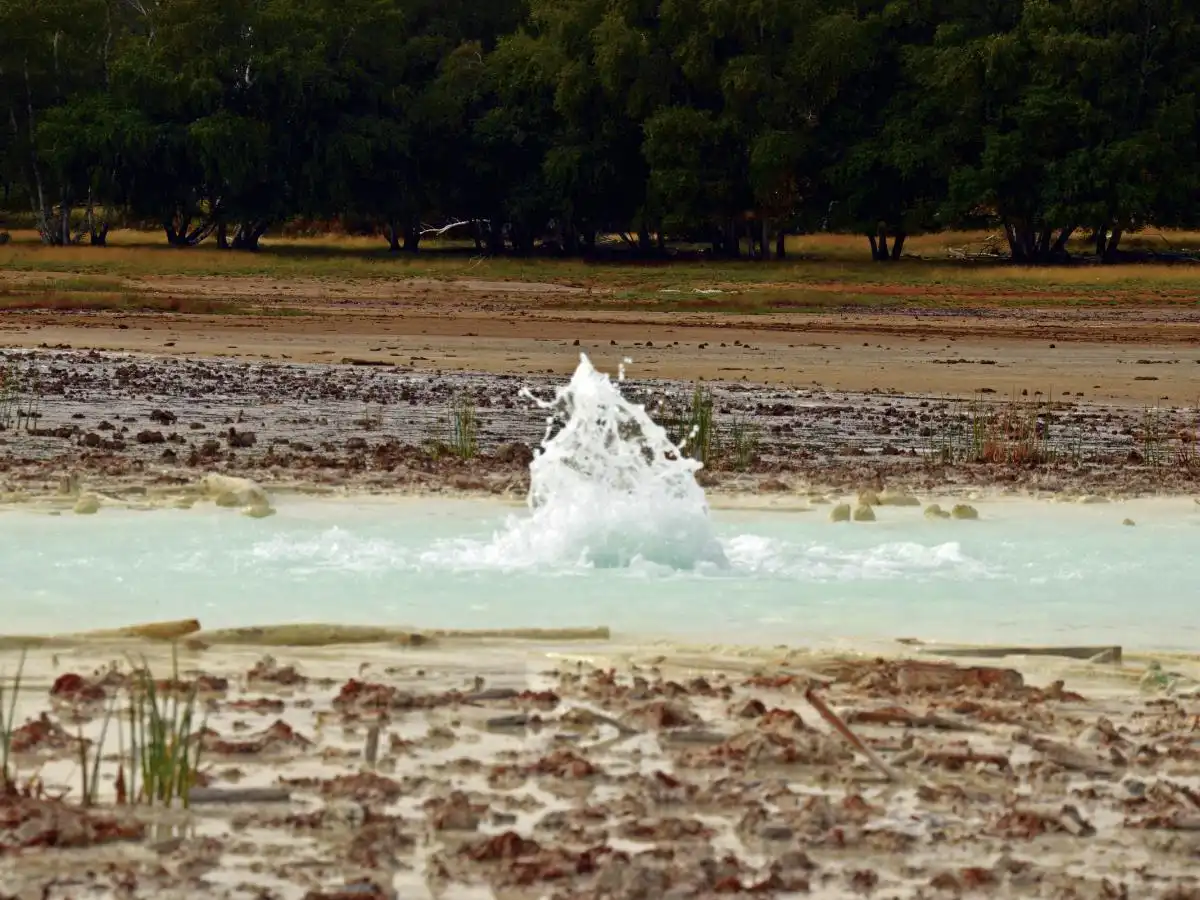 Una piccola Islanda alle porte di Roma: la Caldara di Manziana tra segreti geologici, vapori e boschi di Betulle