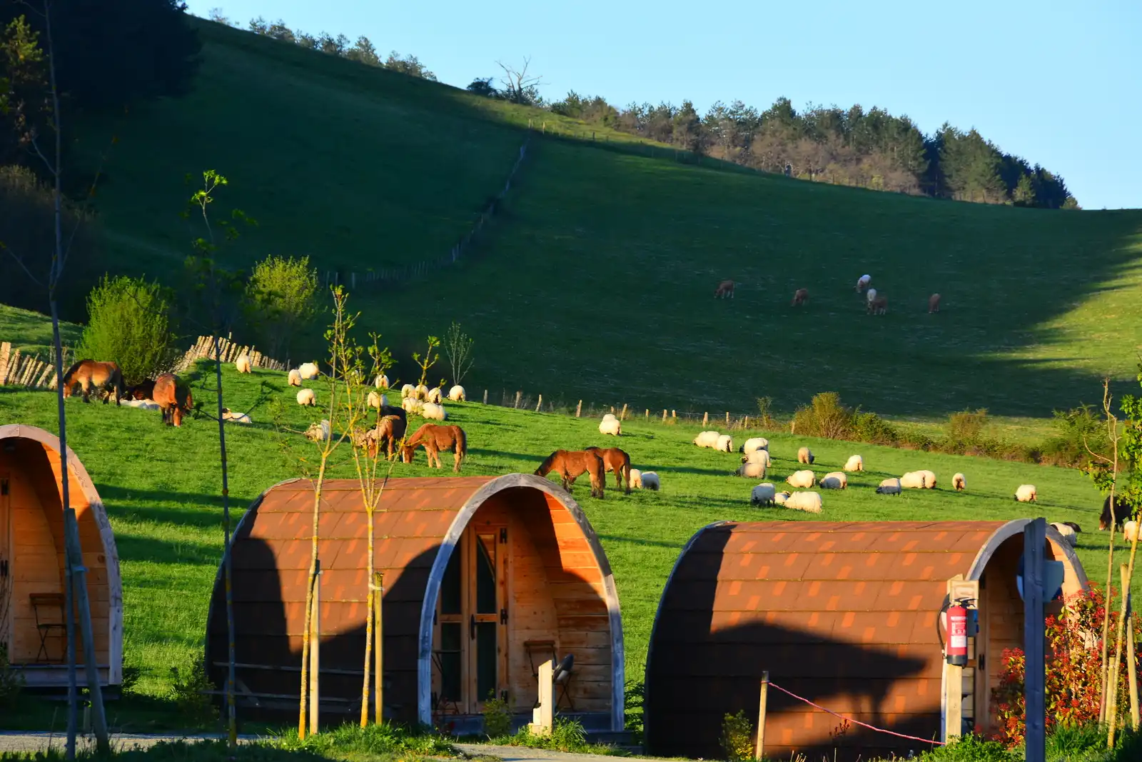 4 fughe nella natura per un San Valentino open air