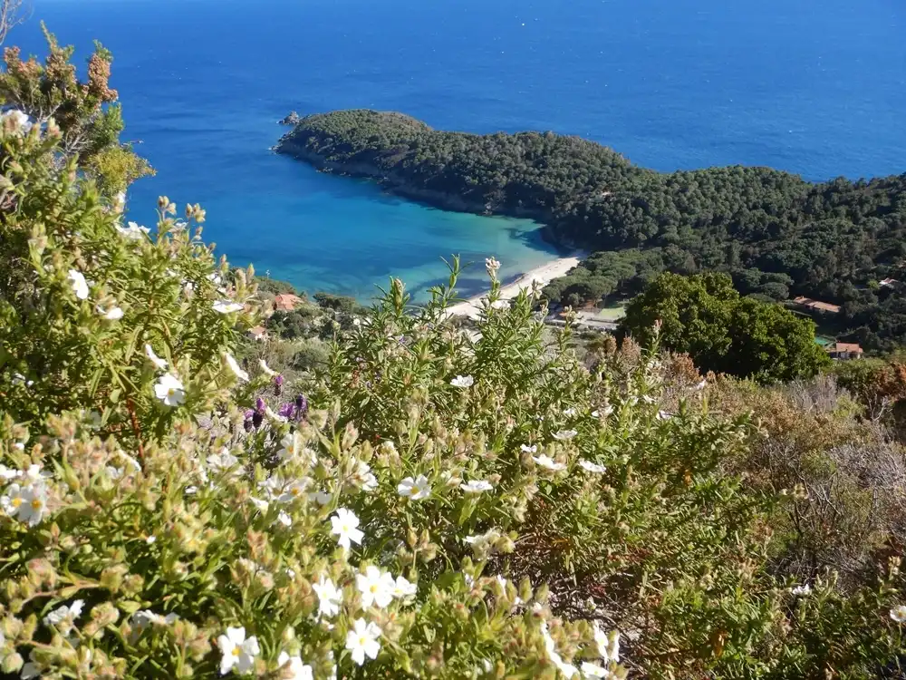 Il cammino breve che profuma di mare e macchia mediterranea, la magia della Via dell’Essenza all’Isola d’Elba