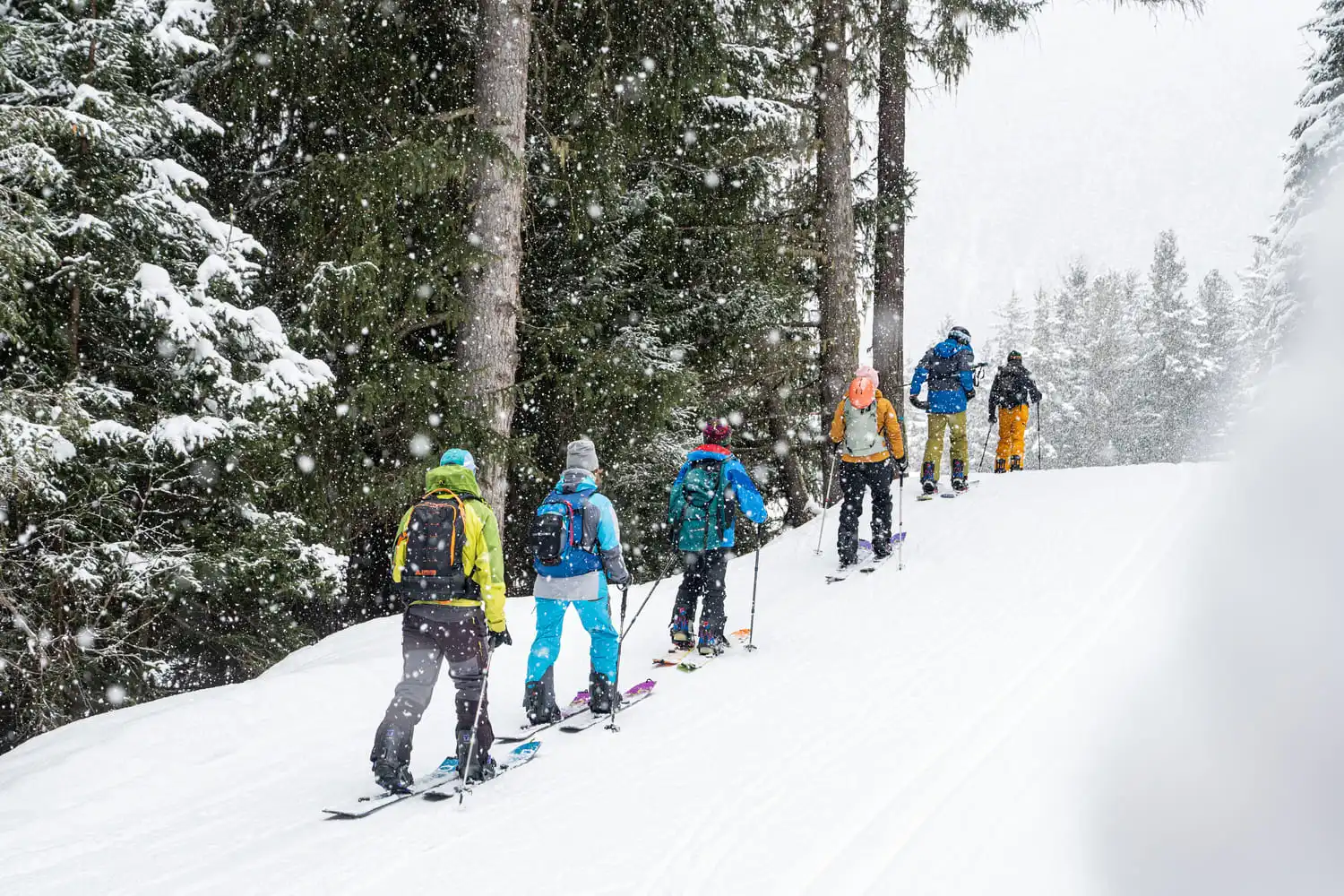 Skimofestival 2026, a Santa Caterina Valfurfa, è l’appuntamento da non perdere se ami lo scialpinismo