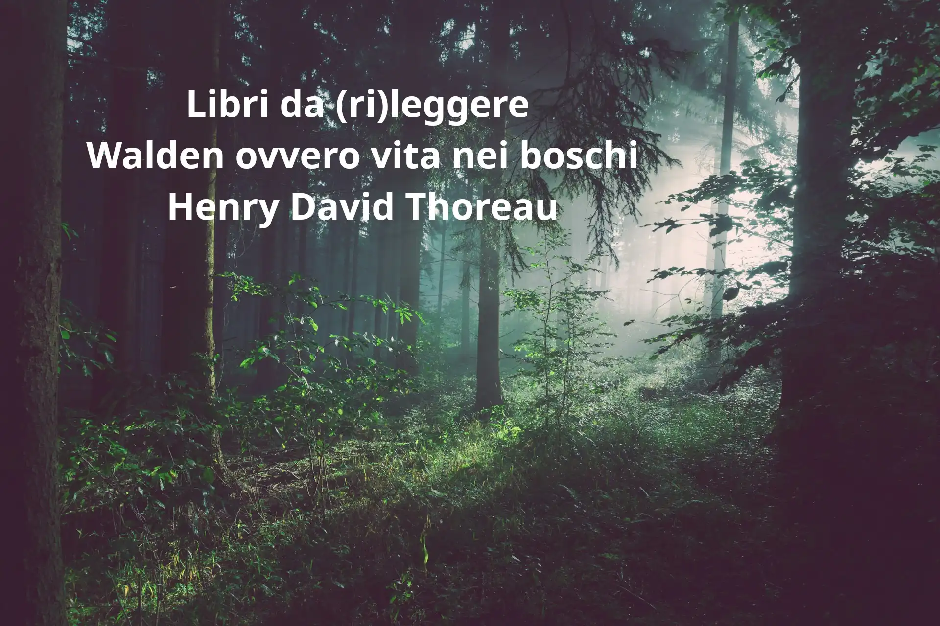 Libri da (ri)leggere: Walden ovvero vita nei boschi. Scritto nel 1854, parla esattamente di noi oggi