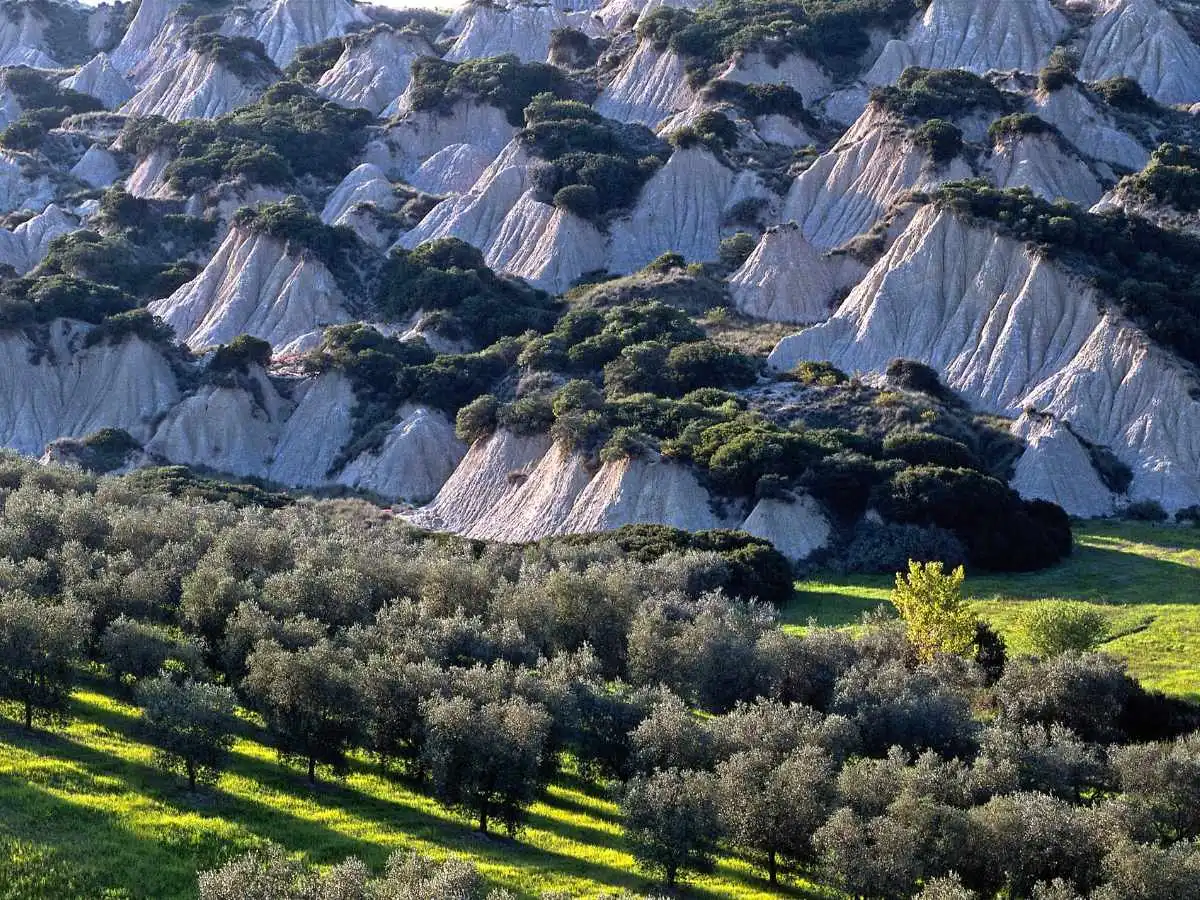 Calanchi di Aliano, le cicatrici d’argilla che hanno stregato la letteratura mondiale