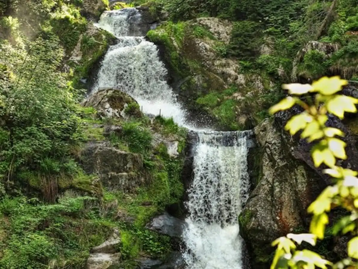 Il Sentiero delle Streghe, le Cascate Triberg e le leggende della Foresta Nera, scoprile camminando