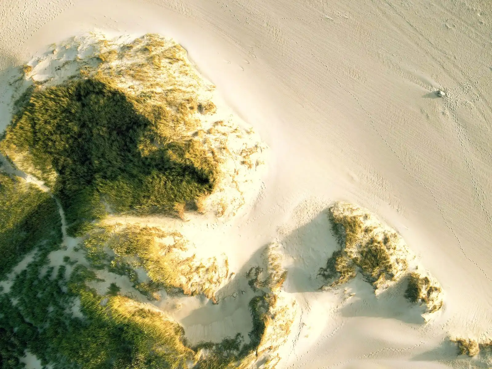 La duna gigante che cammina per 15 metri l’anno: Råbjerg Mile, il deserto che sta “mangiando” la Danimarca
