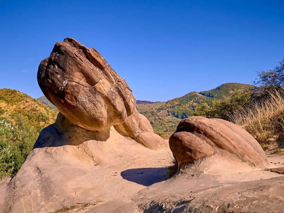 Le chiamano le pietre viventi, perché crescono come gli alberi: il mistero geologico più strano d’Europa