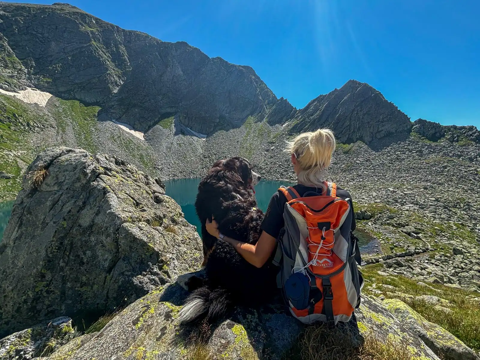 In Valtellina con il cane: dove andare tra fra boschi, laghi e rifugi