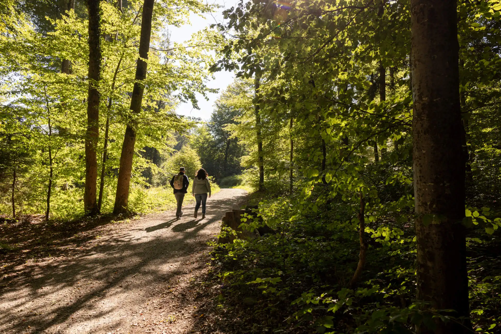 Il Freiämterweg: un anello trekking lento nel cuore della Svizzera che non ti aspetti