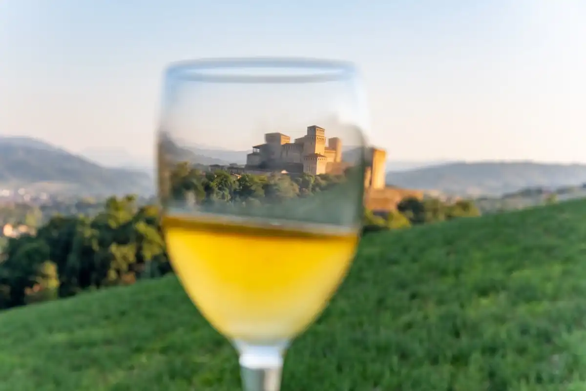 In Emilia, settembre è tempo di vino: le vendemmie e le feste da seguire