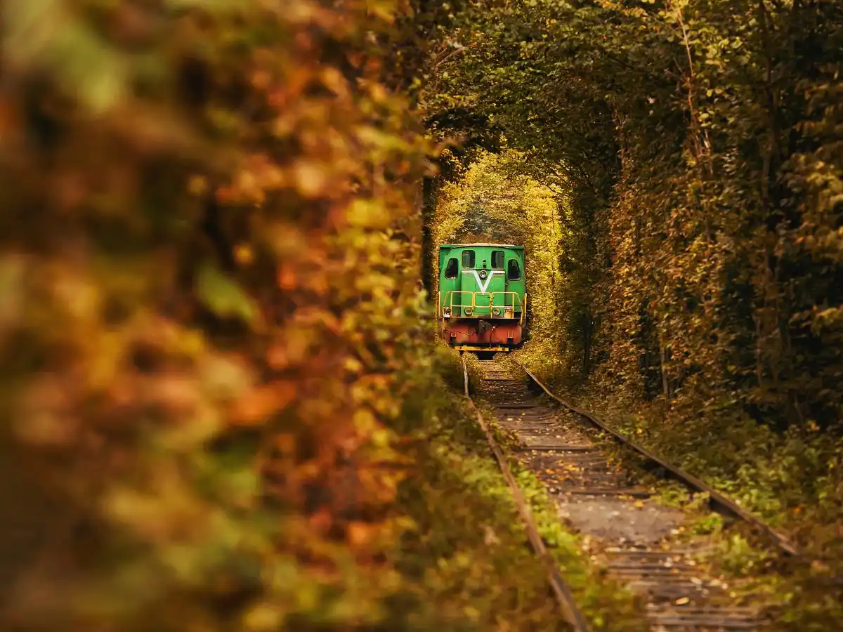 Fogliame d’oro e ponti da brivido: anche nel 2026 torna il treno che attraversa le nuvole tra Italia e Svizzera