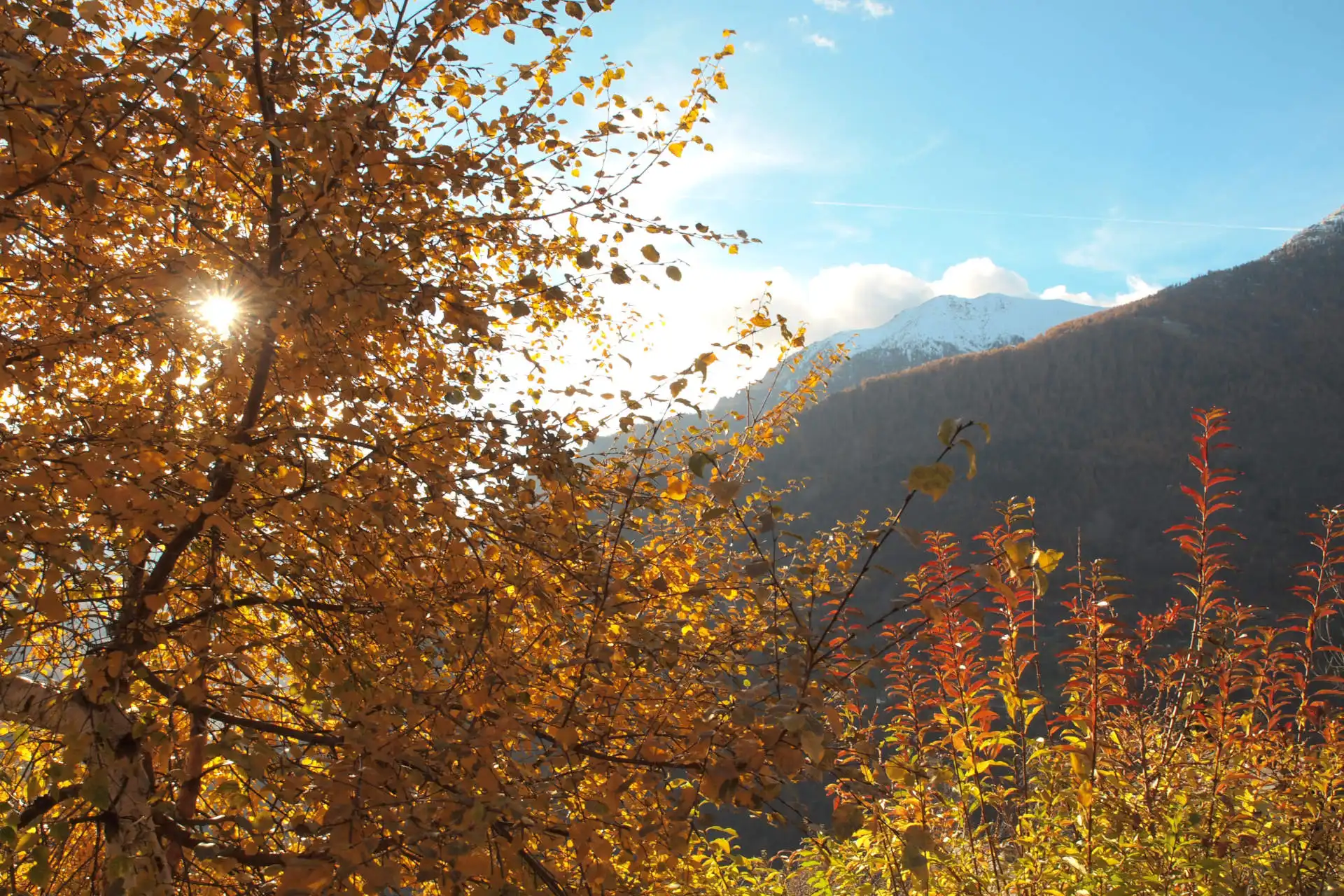 Alle pendici del Monte Rosa l’autunno alle porte ha già i colori del foliage