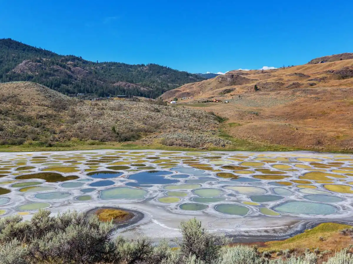 Il lago dai 365 cerchi colorati: quando la natura sembra pura follia