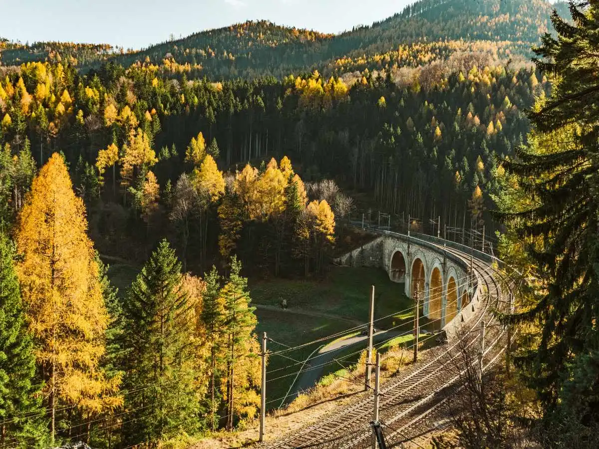 I treni panoramici d’autunno più belli d’Europa per chi cerca la magia dei boschi e delle vette dorate